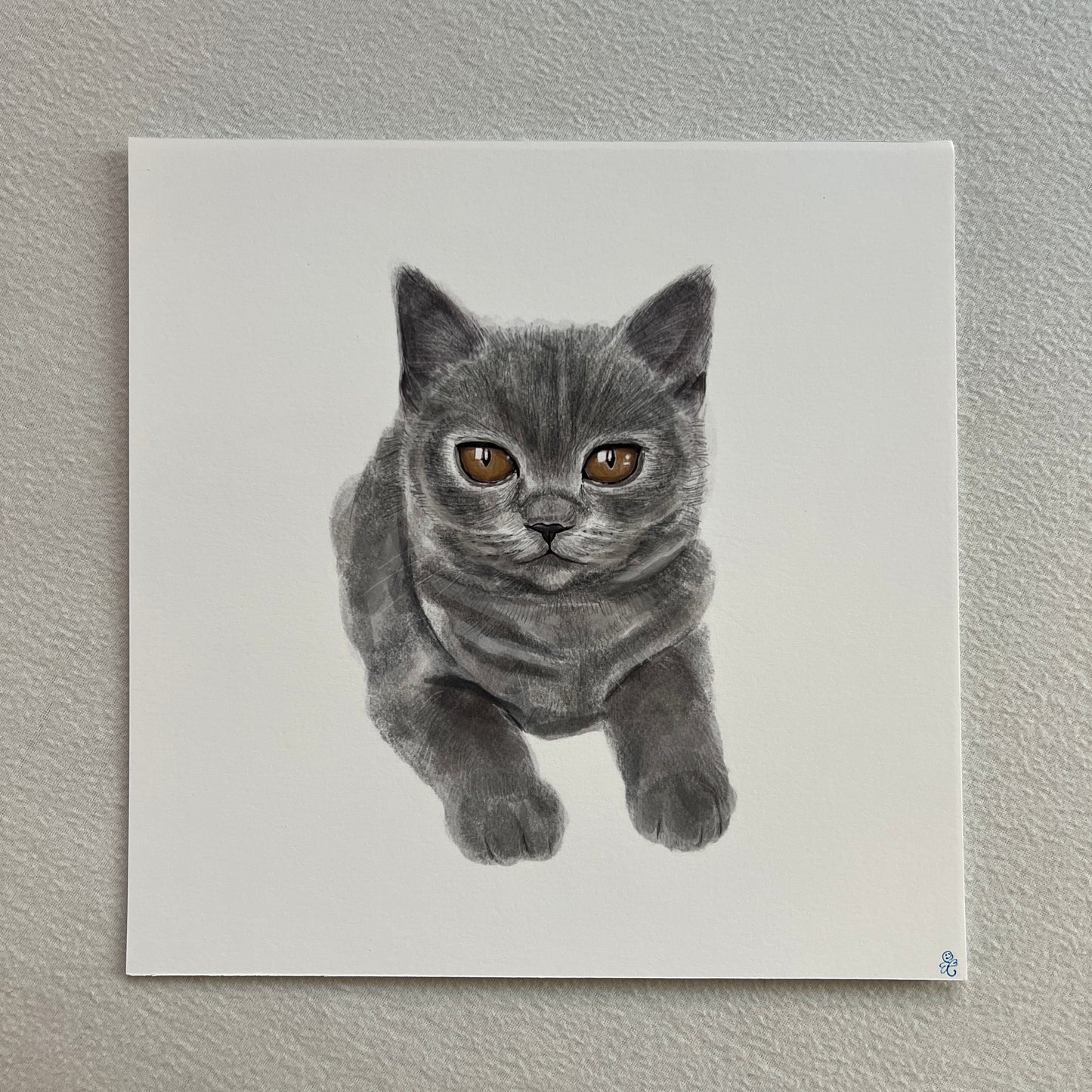 Gray Cat Square Print
