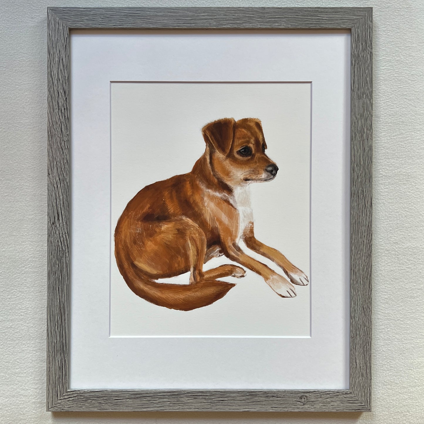 The dog has floppy ears Print