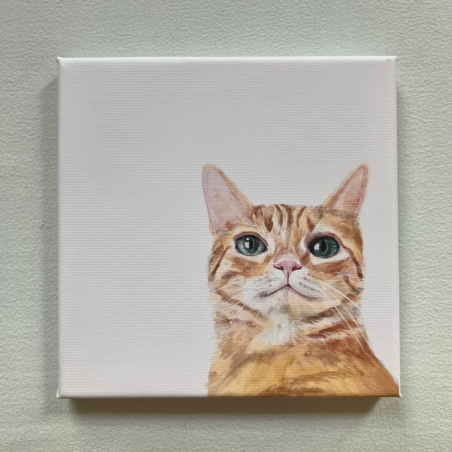 Dreamy Cat Canvas Print